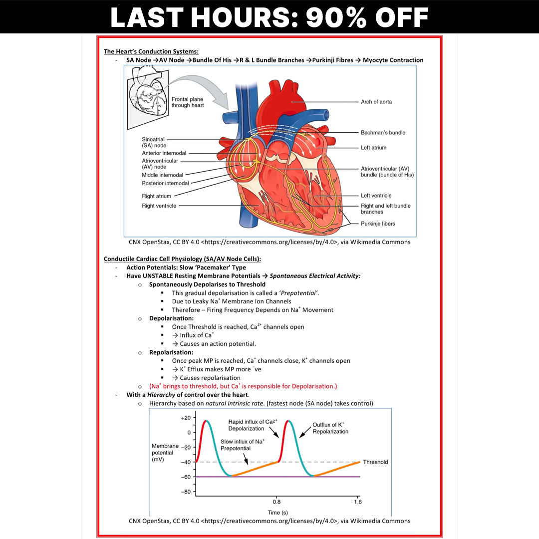 The Ultimate Cardiovascular Notes - 201 PAGES (90% OFF)