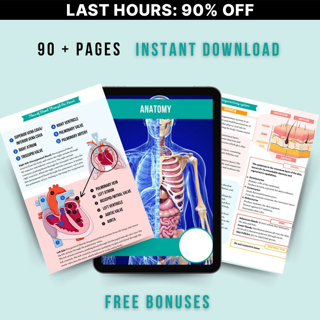 The Ultimate Anatomy and Physiology Bundle (90+ Pages)