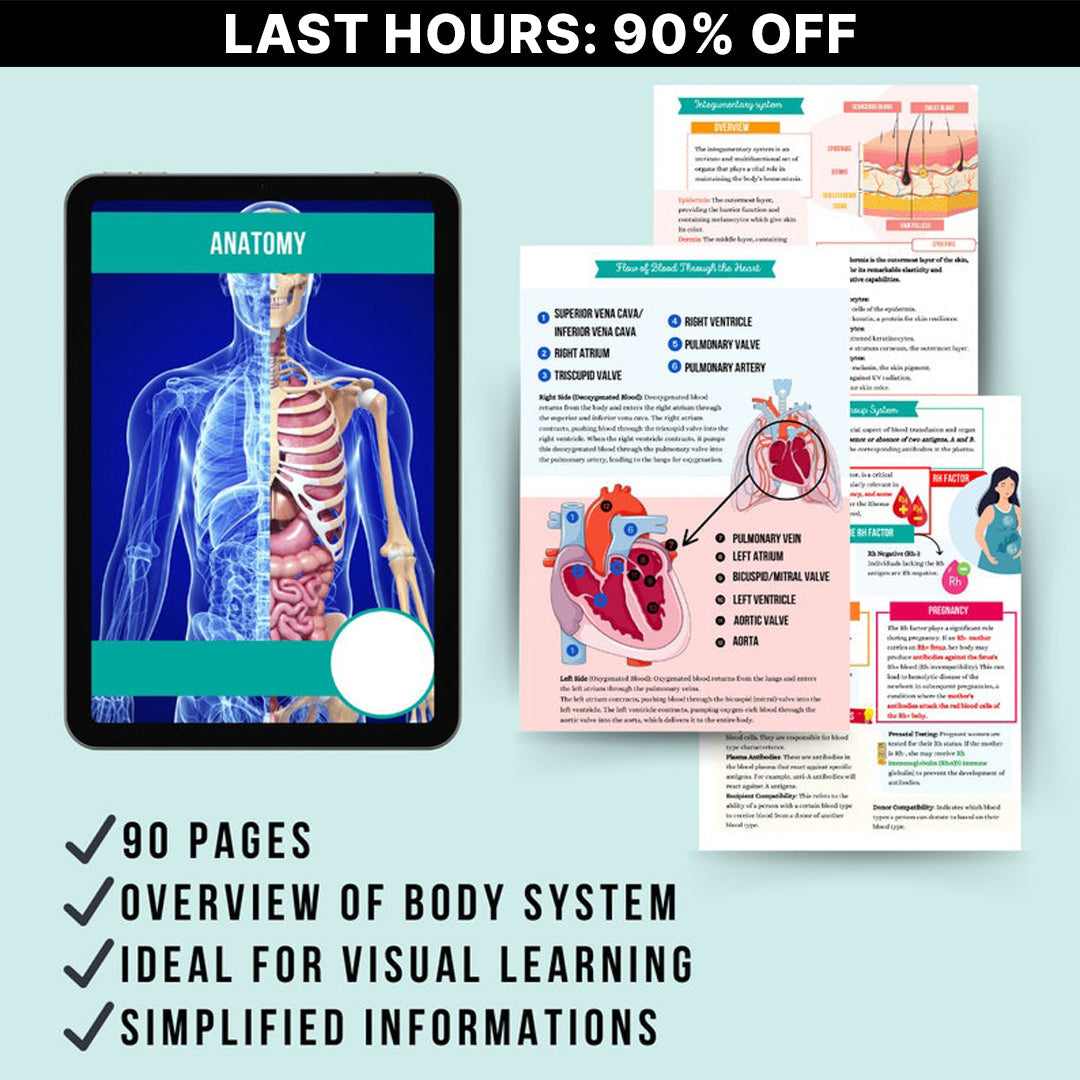 The Ultimate Anatomy and Physiology Bundle (90+ Pages)