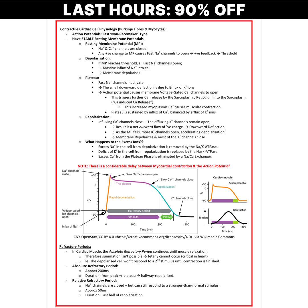 The Ultimate Cardiovascular Notes - 201 PAGES (90% OFF)