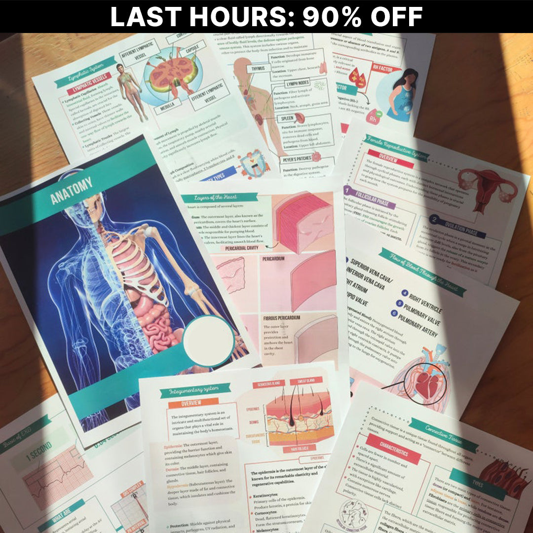 The Ultimate Anatomy and Physiology Bundle (90+ Pages)