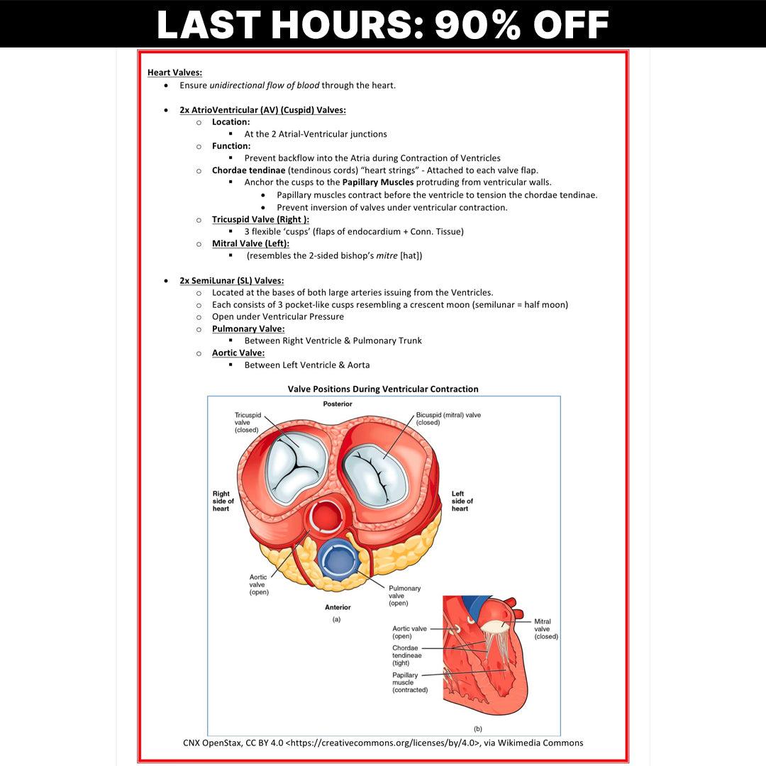 The Ultimate Cardiovascular Notes - 201 PAGES (90% OFF)