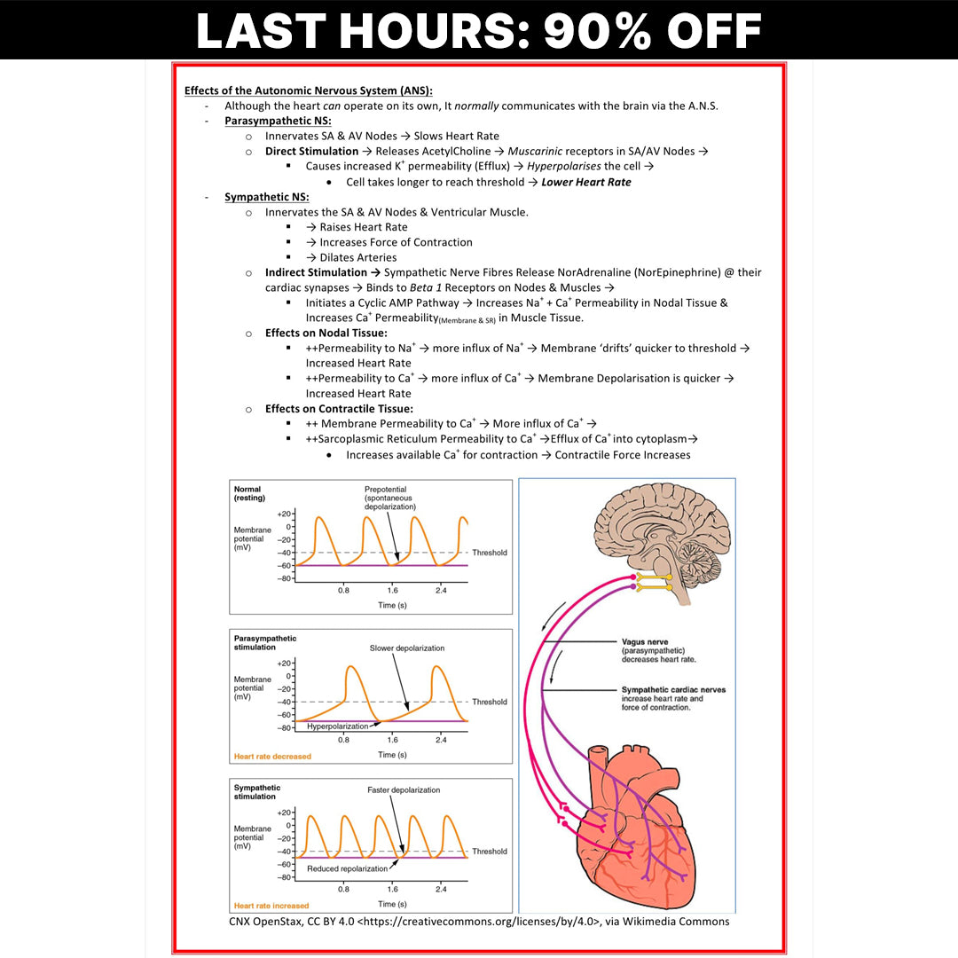 The Ultimate Cardiovascular Notes - 201 PAGES (90% OFF)