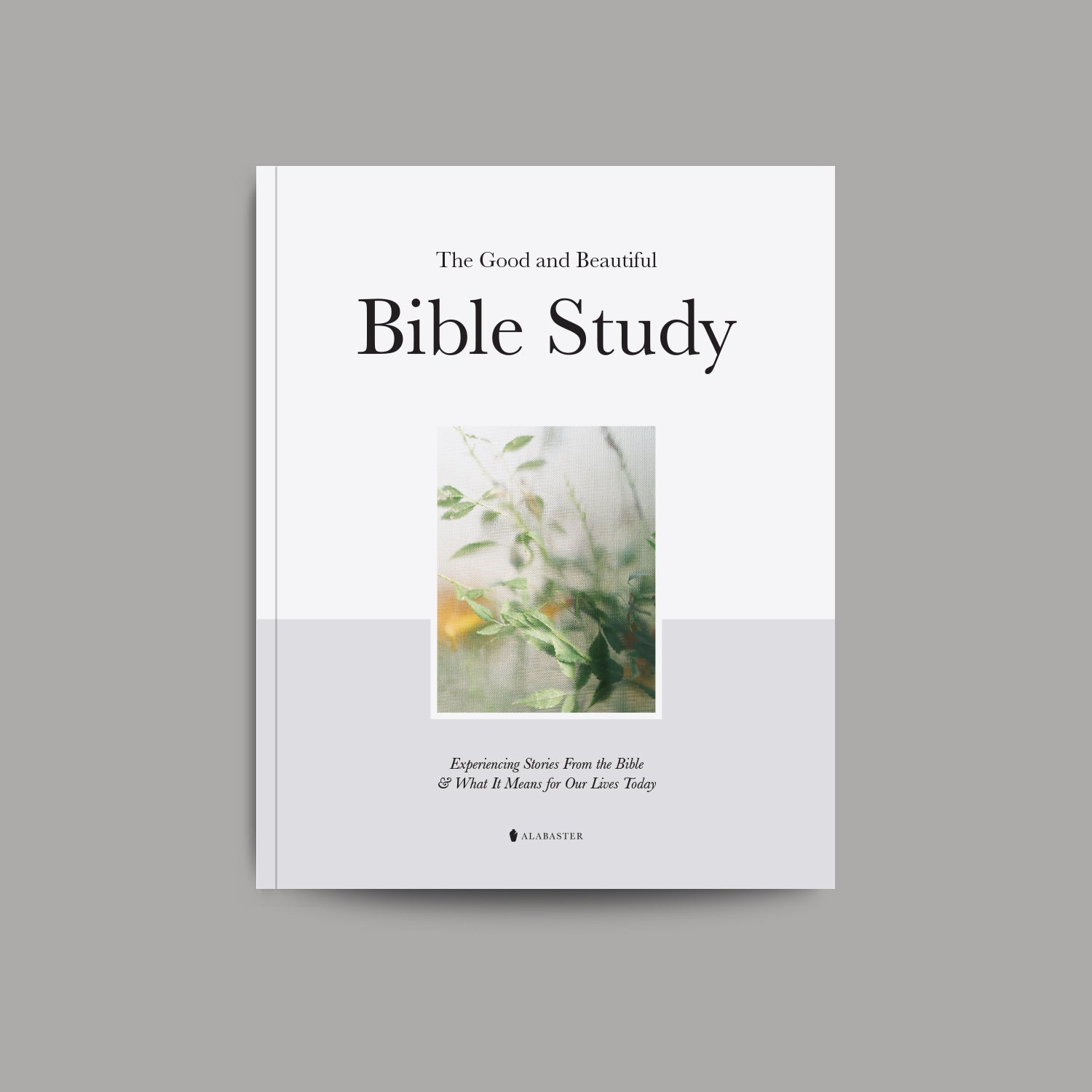 The Good and Beautiful Bible Study (90% OFF)